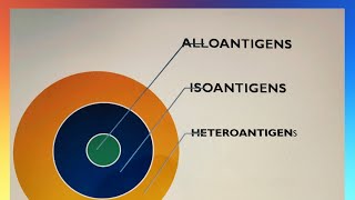 ANTIGEN PART 2 IMMUNOLOGY  TYPES OF ANTIGEN  HETEROPHILE ANTIGEN  ADJUVANT [upl. by Ingamar]