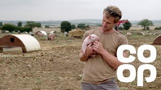 Coop Food  Meet the Producer  British Pork [upl. by Ahsart]