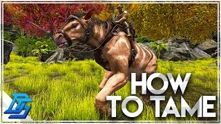 How To Tame A Chalicotherium  Ark Survival Evolved [upl. by Nahtaoj243]