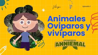 Las Aventuras de Anniemal I Episodio 1 Animales ovíparos y vivíparos [upl. by Karame]