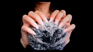 ASMR Fluffy Mic Scratching With Long Nails ❤️ Simulated Scalp Massage [upl. by Ttoile]