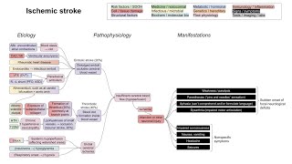 What Is Small Ischemic Vessel Disease [upl. by Asirb]