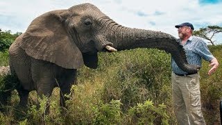 The Unforgettable Tale of the Elephant Whisperer Lawrence Anthonys Legacy [upl. by Imat]