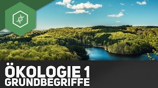 Grundbegriffe der Ökologie  Ökologie 1 [upl. by Con]