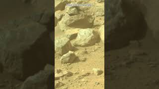 Perseverance Rover Sol 1302  Mars New 4k Video  Mars 4k Video  Mars In 4k  Mars shorts [upl. by Teerprug]