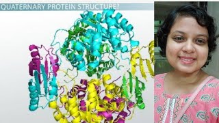 Quaternary protein structure  BIOMOLECULES NEET  NCERT line by line in BENGALI🧑‍⚕️ [upl. by Orms]