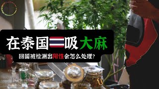 泰国吸完大麻回国被检测出阳性会怎么处理？ [upl. by Egoreg]