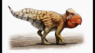 Udanoceratops An Abnormally Large Hornless Ceratopsian From Late Cretaceous Mongolia [upl. by Maxama217]