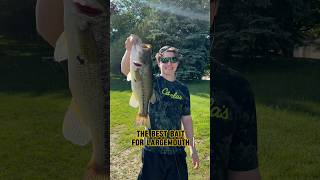 What Is The BEST Bait For LARGEMOUTH Bass 🎣🐟 shorts fishing [upl. by Locke]