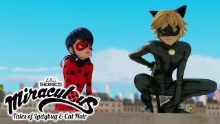 Miraculous Ladybug  ANIMAN  Ladybug and Cat Noir [upl. by Brawley52]