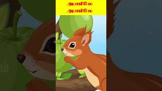 anilshorts tamilrhymesanil odivaanile tamilchildsong rhymesforchild squirrelsong [upl. by Ariad993]