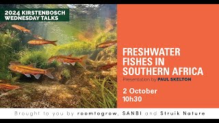 FRESHWATER FISHES OF SOUTHERN AFRICA Reflections on 30 years of change and progress [upl. by Auqinat]