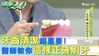 牙齒清潔超重要！ 醫師教你怎麼刷牙才正確！ 健康20 [upl. by Oirobil]