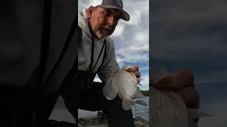 Crappie Fishing on the lake [upl. by Eicul573]