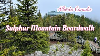 Banff Sulphur Mountain Boardwalk  Banff Gondola  Walking Tour  Alberta Canada [upl. by Arraeis]