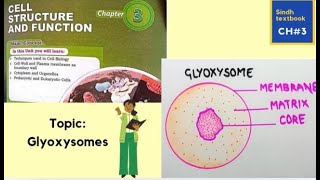 Glyoxysomes l cell structure and function l XI biology [upl. by Asital]