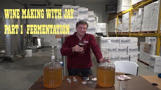 Beginner Wine Making  Fermentation [upl. by Etterrag962]