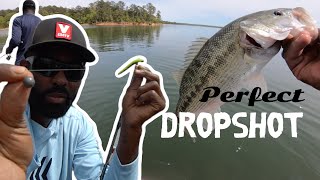 The Perfect Dropshot Combo —  BassFishing Tips [upl. by Ahsoem883]