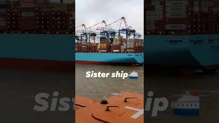 Ship and port😍shipping reels nature viral videoshorts marine seaman sea cruise seafarer [upl. by Catha]