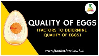 Quality of Eggs Factors to Determine quality of eggs foodtechnetwork [upl. by Aihceyt]