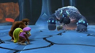 Donkey Kong Country Tropical Freeze  All Bosses [upl. by Kavita]