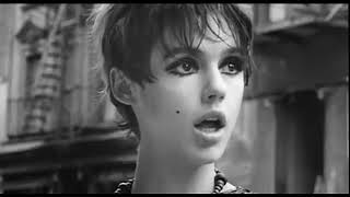 Femme Fatale The Velvet Underground Edie Sedgwick SD [upl. by Goldenberg]