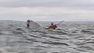 Man swallowed by humpback whale survives to tell the tale [upl. by Kcin]