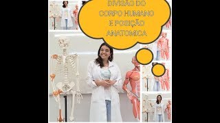 VídeoAula n°1 Divisao do corpo humano e posição anatomica [upl. by Erastes]