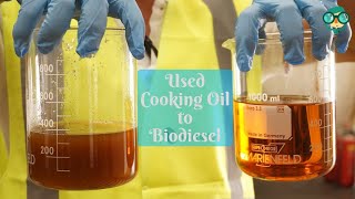 How to Make Biodiesel from Used Cooking Oil at Home How Do You Make Biodiesel from Cooking Oil [upl. by Eleph]