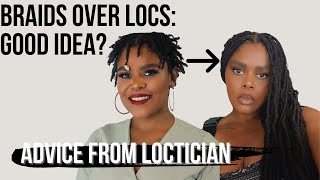 Faux Locs  Box Braids Over Locs Advice from a Loctician  Avoid Thinning amp Breakage [upl. by Novrej824]