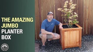 The Amazing Jumbo Planter Box for Trees amp Shrubs [upl. by Maryrose]