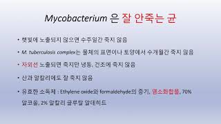 결핵균 Mycobacterium tuberculosis and NTM [upl. by Elaina]