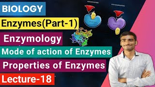 Biology Lecture18 Enzymespart1Enzymology Mode of action of enzymes Properties of Enzymes [upl. by Silvana]