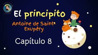 Audiolibro El principito Capitulo 8 Antoine de Saint Exupéry [upl. by Lerak528]