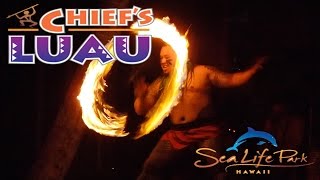 Chiefs Luau Entire Show Sea Life Park  Oahu Hawaii 11415 [upl. by Cointon]