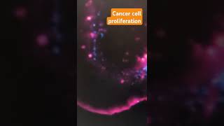 Cancer cell proliferation  Biomedical Research [upl. by Ordisi978]