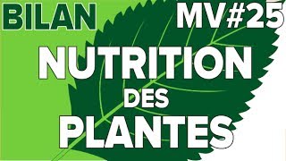 Nutrition des Plantes Bilan MV25SVT CollègeMathrix [upl. by Accire]