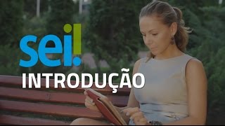 SEI  Introdução ao Sistema Eletrônico de Informações [upl. by Enilrek]