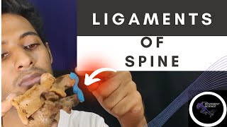 LIGAMENTS AT SPINE BIOMECHANICS OF SPINEPhysiotherapy Tutorial [upl. by Lamhaj]