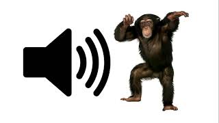 Monkey  Sound Effect [upl. by Marbut]