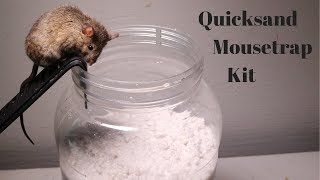 Testing Out The Quicksand Mouse Trap Kit Sold On Amazon [upl. by Anidem]