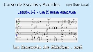 Las 12 notas musicales  notas naturales y alteradas  Lección 12 [upl. by Holli133]