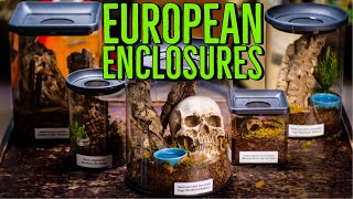 Tarantula Room Enclosure REVIEW  European Spider Enclosures [upl. by Eellac187]