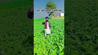 lopon ਜੇ ਇਸ ਤਰ੍ਹਾਂ ਭਾਈਚਾਰੇ ਦੀ ਸਾਂਝ ਹੋ ਜਾਵੇ [upl. by Zerdna]