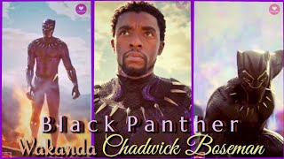 Black PantherChadwick BosemanWakanda Theme Song [upl. by Leanne]