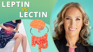 The Difference Between Leptin vs Lectin  Dr J9 Live [upl. by Kozloski]