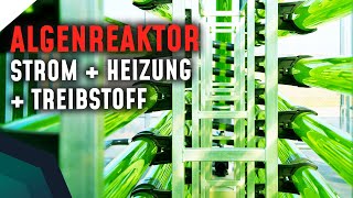 Algenkraftwerk Strom Heizung Treibstoff UND Nahrungsmittel der Zukunft  Breaking Lab [upl. by Anairam]