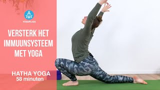 Versterk het immuunsysteem met Yoga [upl. by Calabrese36]