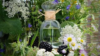 HERBAE by LOccitane en Provence 2019  fragrance review [upl. by Tricia19]