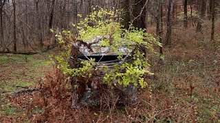 Ground Blind Tips [upl. by Keily]